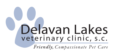 Delavan Lakes Veterinary Clinic Logo